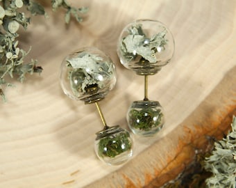 Real Moss Double Earrings - Lichen Ear Jacket - Nature Bubble Two-Sided Studs