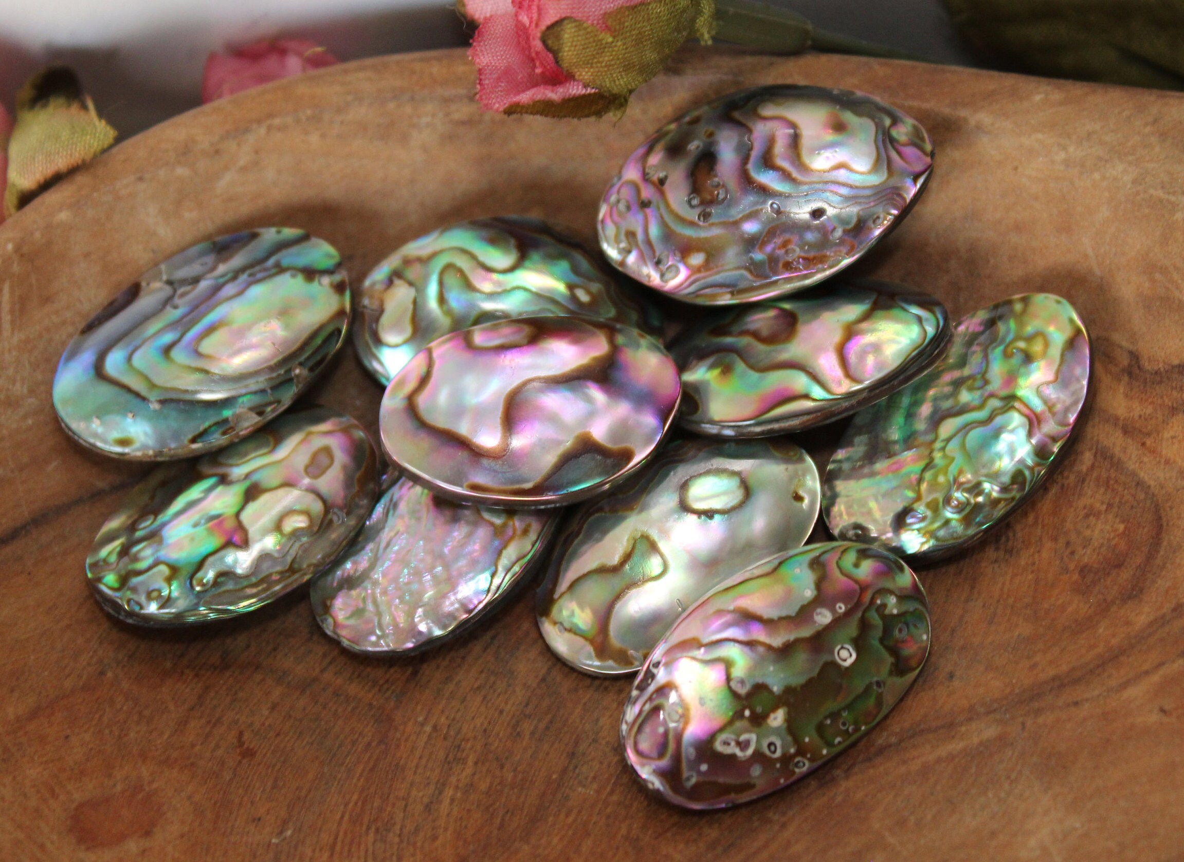 Beautiful Abalone Shells 3 Sizes From 25mm to 37mm Verticle Drilled ...