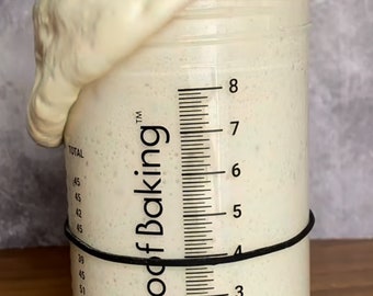 Sourdough Starter