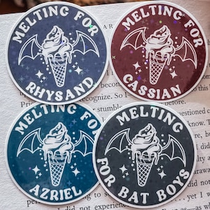 ACOTAR Bat Boys Melting Sticker / Sarah J Maas / Fantasy / Bookish sticker / Bookish merch / Rhysand / Cassian / Kindle sticker