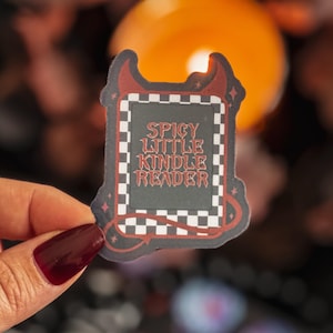 Kindle Reader Spicy Sticker / Booktok / Dark Romance / Bücherliebe / Kindle Sticker / Smut / Halloween / Kariert