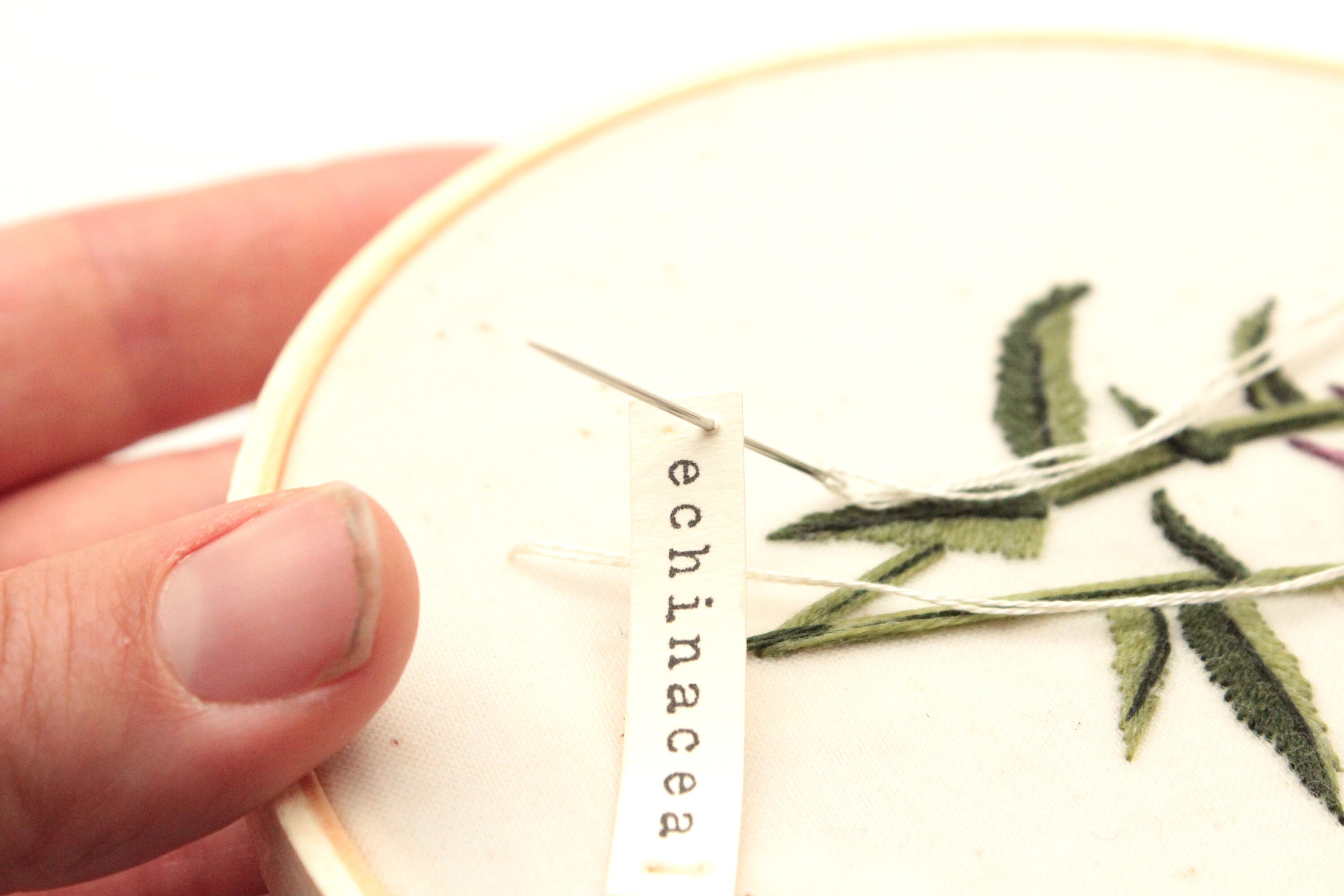 Botanical Embroidery Downloadable Pattern, Echinacea Pattern