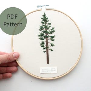 Puede incluir: Arte de bordado en aro con un pino ponderosa verde con un tronco marrón. El aro es de madera y tiene un fondo de tela blanco. El texto "ponderosa pine Pinus ponderosa" está escrito debajo del árbol.