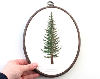 Douglas Fir Evergreen Tree Contemporary Embroidery