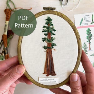 Puede incluir: Arte de bordado en aro con un árbol de secuoya gigante con hilo marrón y verde. El aro es de madera y tiene un fondo de tela blanco. El texto "secuoya gigante" y "Sequoiadendron giganteum" está impreso debajo del árbol.