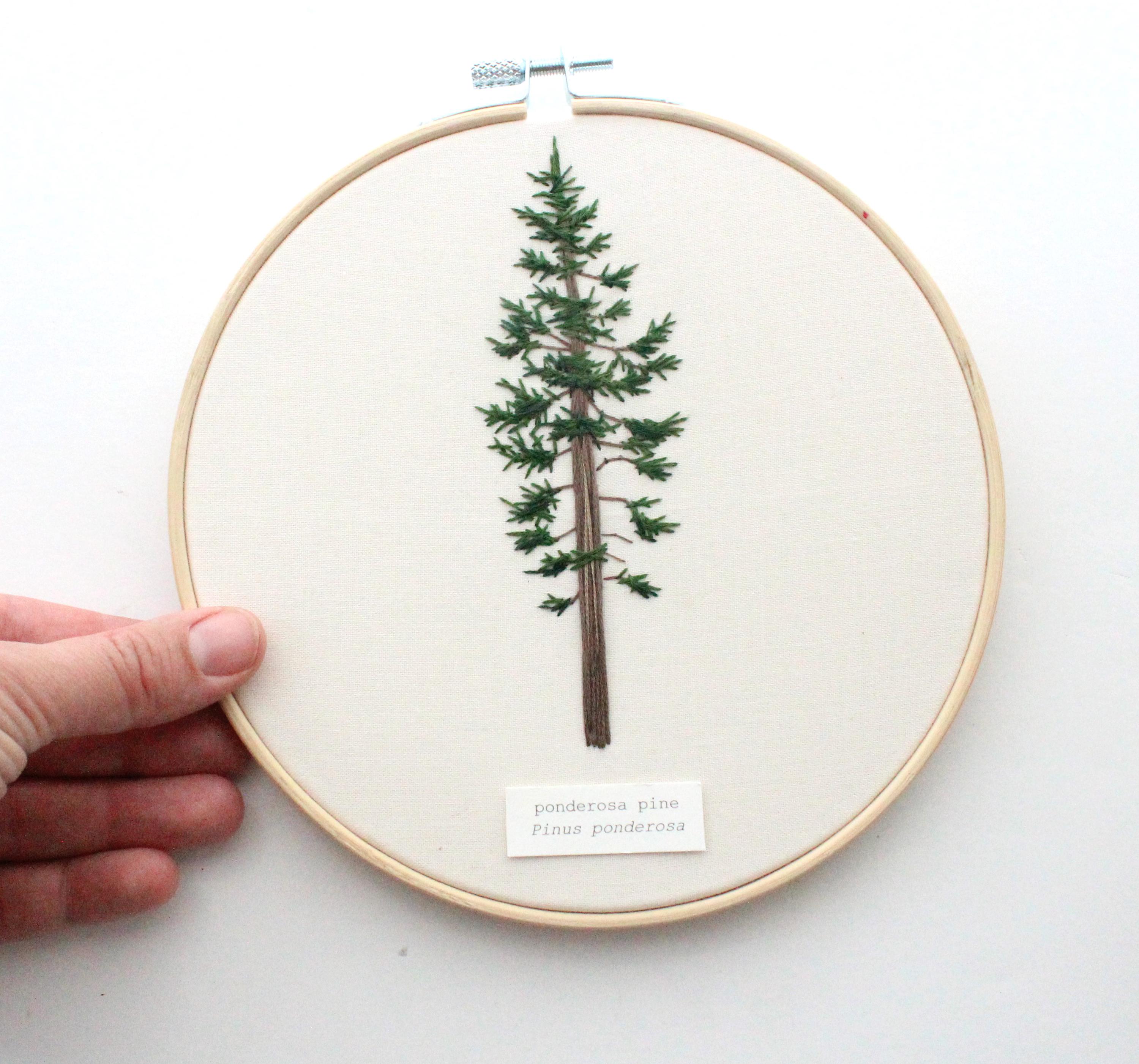 Ponderosa Pine Embroidery Pattern, Tree Thread Painting (PDF) - Etsy