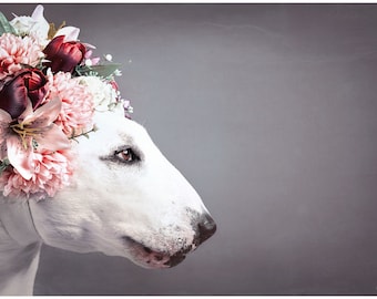 Flower Princess - Bull Terrier Photographic Art Print