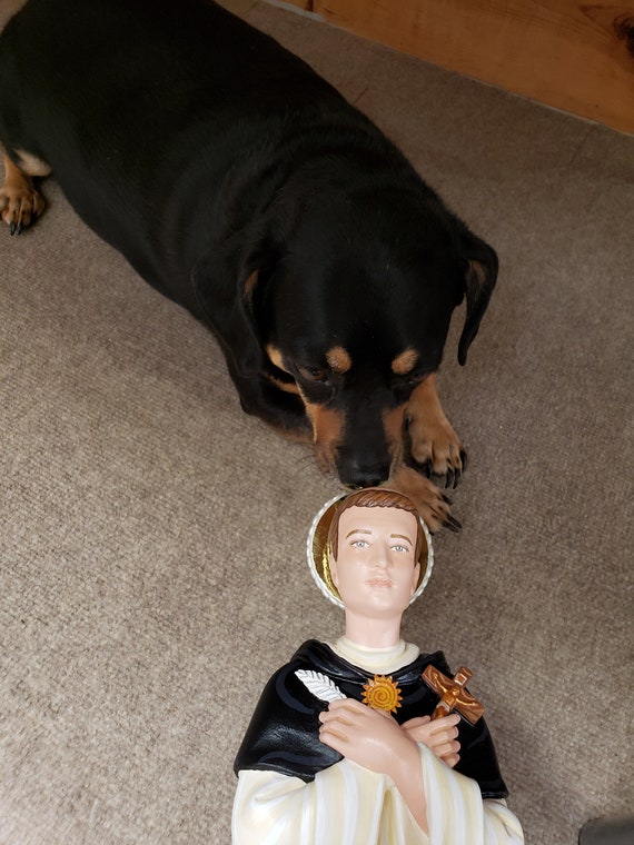 ANGELIC DOCTOR/The Dumb Ox - St. Thomas Aquinas 18"