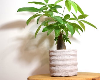 Modern stone planter Japandi decor concrete plant pot