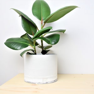 Weißer Zement Blumentopf grauer minimalistischer Beton Blumentopf