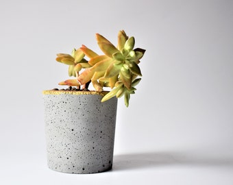 Grey concrete planter with rough gold edge for succulent cactus cement pot