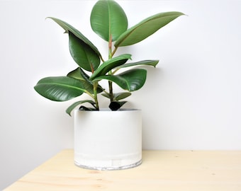 White cement planter gray minimalist concrete plant pot