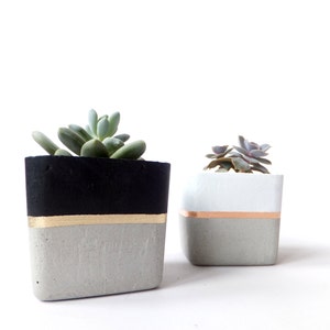 Square Concrete Small Planter for Succulent Grey White Black Industrial modern beton Home Decor image 3