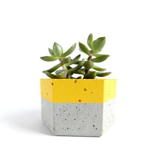 Urban Hexagon Concrete Planter for Succulent Home Decor Grey Planter