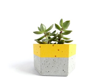 Urban Hexagon Concrete Planter for Succulent Home Decor Grey Planter