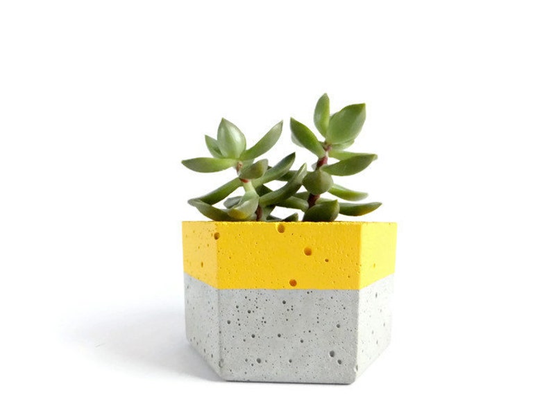 Urban Hexagon Concrete Planter for Succulent Home Decor Grey Planter image 1