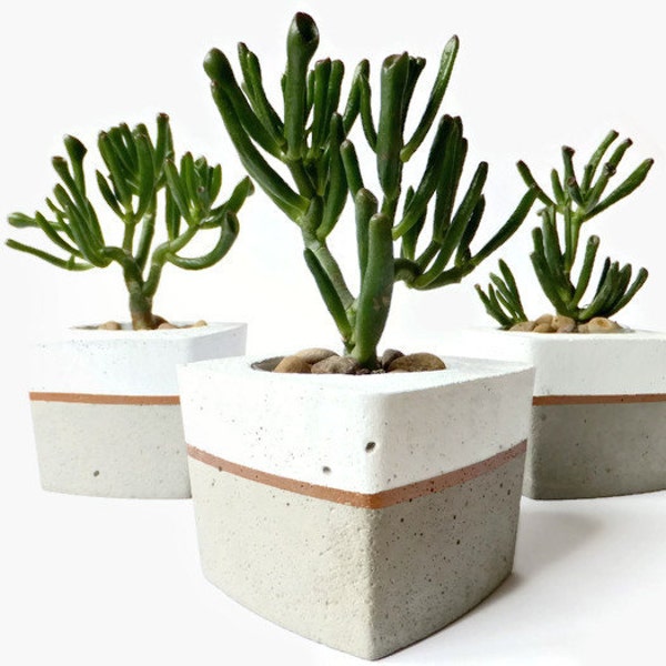 Concrete Succulent Flower Pot White Grey Urban Industrial Planter Home Decor