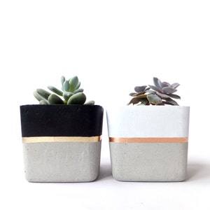 Square Concrete Small Planter for Succulent Grey White Black Industrial modern beton Home Decor 画像 2