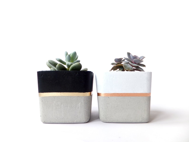 Square Concrete Small Planter for Succulent Grey White Black Industrial modern beton Home Decor 画像 2