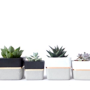 Square Concrete Small Planter for Succulent Grey White Black Industrial modern beton Home Decor 画像 5