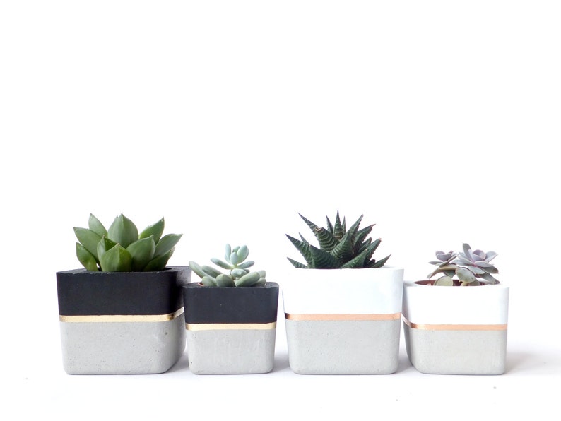 Square Concrete Small Planter for Succulent Grey White Black Industrial modern beton Home Decor 画像 5