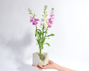 Gebrochene Betonwürfelvase, runde Glaskolbenvase, moderne Betonvase für Frischblumen