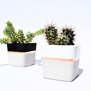 Square Concrete Small Planter for Succulent Grey White Black Industrial modern beton Home Decor image 1