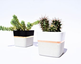 Square Concrete Small Planter for Succulent Grey White Black Industrial modern beton Home Decor