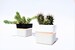 Square Concrete Small Planter for Succulent Grey White Black Industrial modern beton Home Decor 