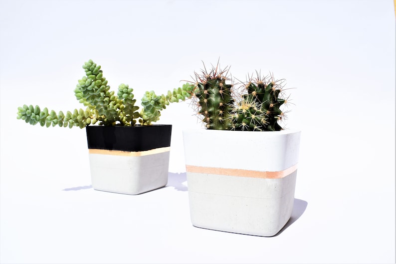 Square Concrete Small Planter for Succulent Grey White Black Industrial modern beton Home Decor 画像 1