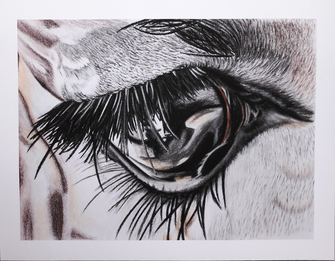 Giraffe Eye Print Giraffe Drawing Etsy