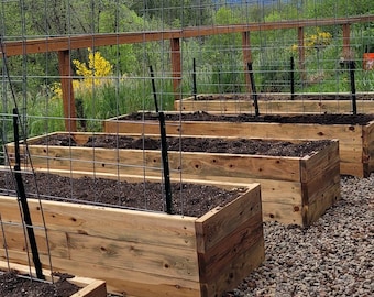 May include: A row of wooden raised garden beds with black metal arches over them. The beds are filled with soil and are surrounded by gravel.