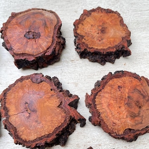 Black Cherry burl wood for stabilizing, epoxy resin projects, knife scales, jewelry making, woodcraft, etc.