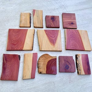 Surtido de madera de cedro rojo para estabilización, balanzas para cuchillos, fabricación de joyas y manualidades. Libro de maderas artesanales combinadas.