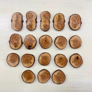 Puede incluir: Una colección de diecisiete pequeñas rodajas de madera natural dispuestas en filas. Las rodajas varían en forma, algunas son redondas y otras más oblongas. La madera tiene un color marrón cálido con vetas visibles y bordes de corteza.