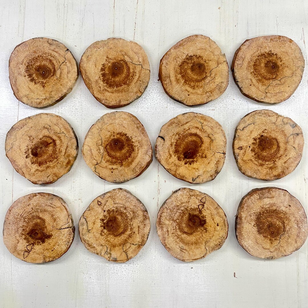 Wood Slices-spalted Birch Rounds for Jewelry Making, Epoxy Resin ...