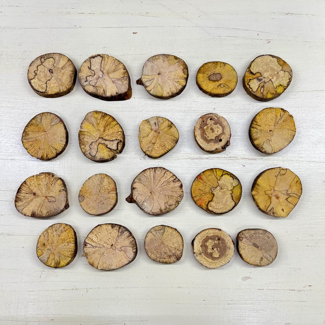 Wood Slices-colored Spalted Birch Rounds for Epoxy Resin Projects, Wood ...