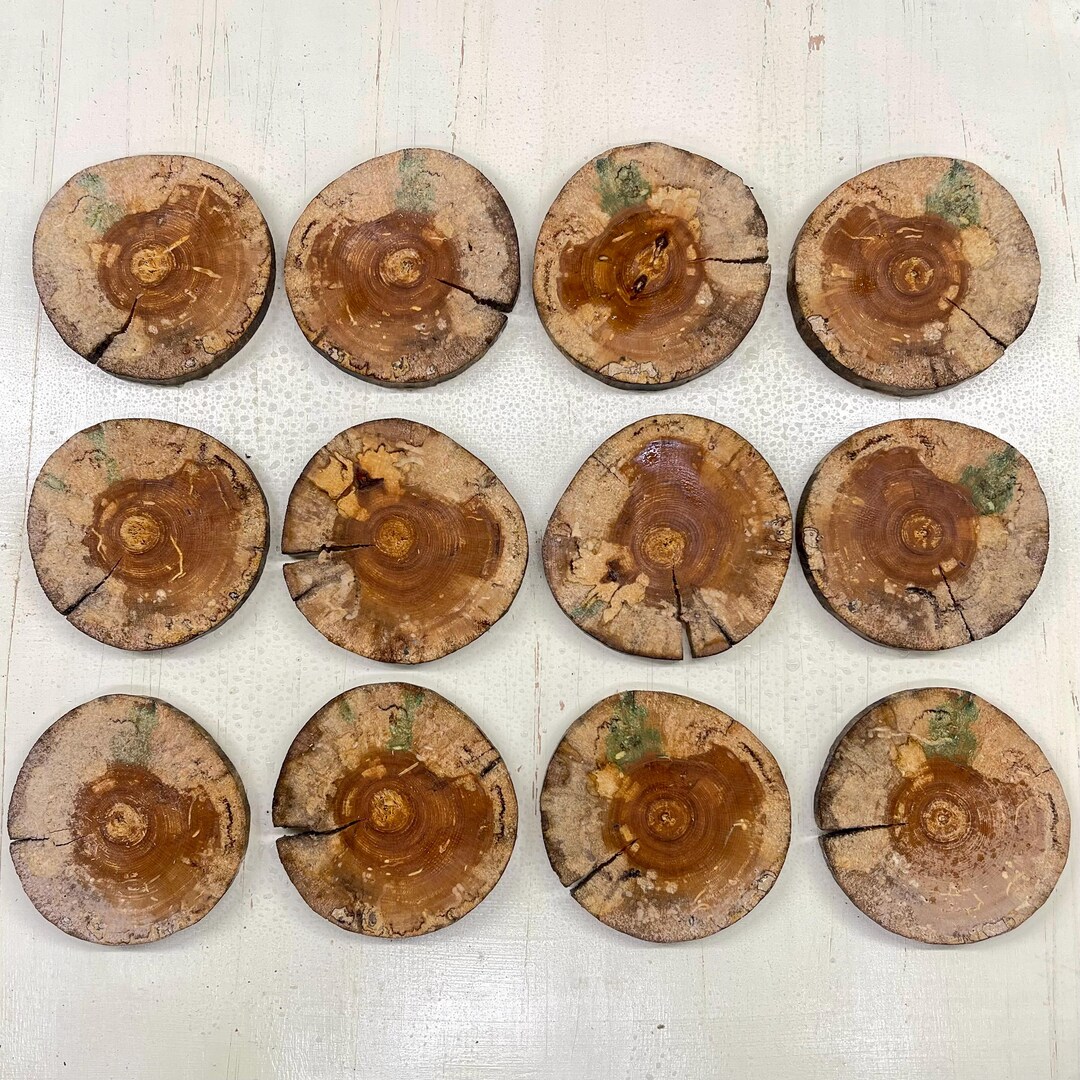 Wood Slices-spalted Birch Rounds for Jewelry Making, Epoxy Resin ...