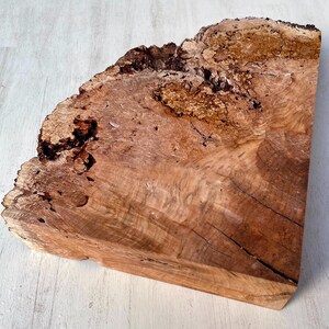 May include: A natural wood slab with a unique, irregular shape. The slab features a rich, warm brown color with intricate grain patterns and knots. The edges have a rough, textured appearance, adding to its rustic charm. This piece is ideal for woodworking projects.