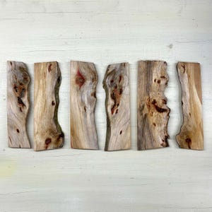Könnte beinhalten: Sechs Stücke Naturholz mit unregelmäßigen Kanten. Das Holz hat eine hellbraune Farbe mit dunkelbraunen und roten Akzenten. Die Stücke sind horizontal auf einer weißen Oberfläche angeordnet.