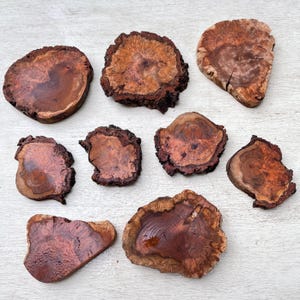 Black Cherry burl wood for stabilizing, epoxy resin projects, knife scales, jewelry making, woodcraft, etc.
