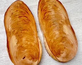 Cachas para cuchillos: madera de tilo veteada con vetas simétricas para la fabricación de cuchillos, decoración de paredes, proyectos con resina epoxi, estabilización, pirograbado, etc.