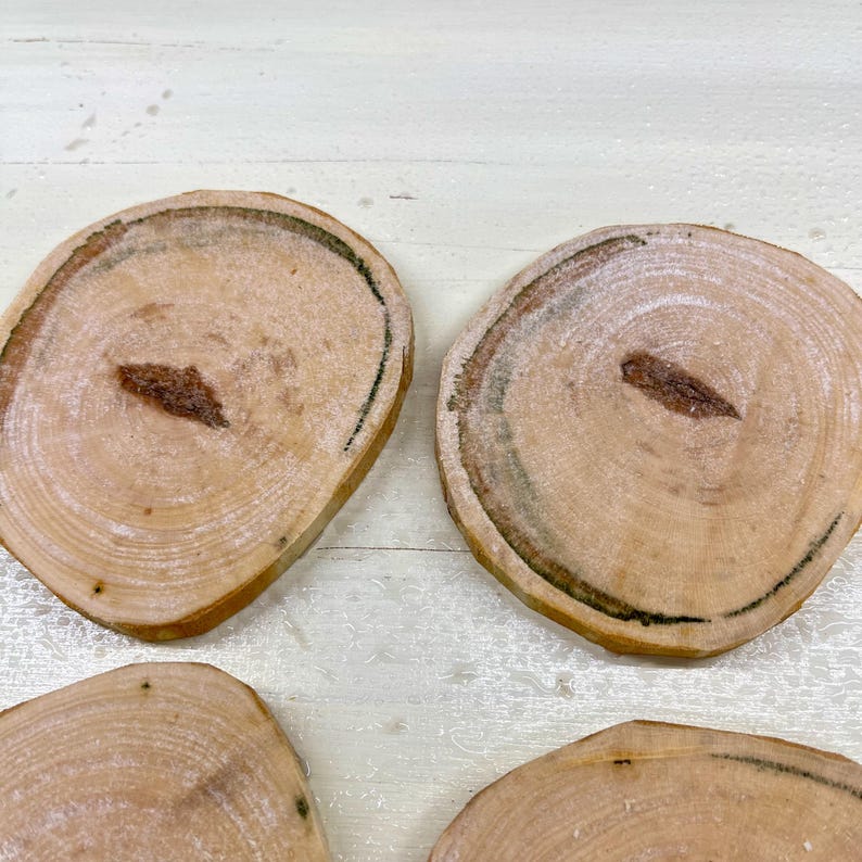 Maple Ridge Cedar Rounds Wood Slices-spalted Maple Rounds for Mixed Media, Wall Art, Epoxy ...