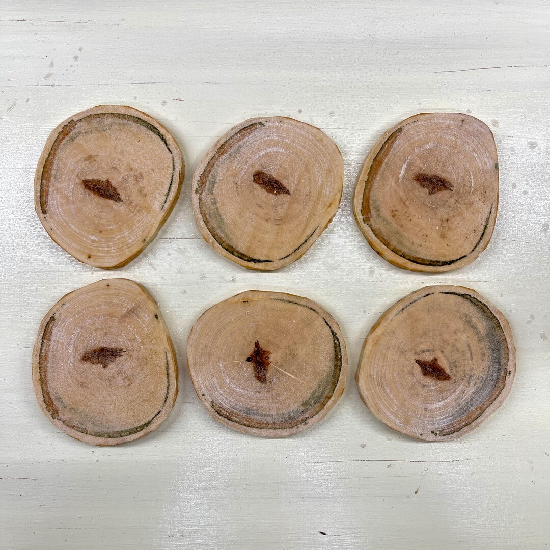 Maple Ridge Cedar Rounds Wood Slices-spalted Maple Rounds for Mixed Media, Wall Art, Epoxy ...