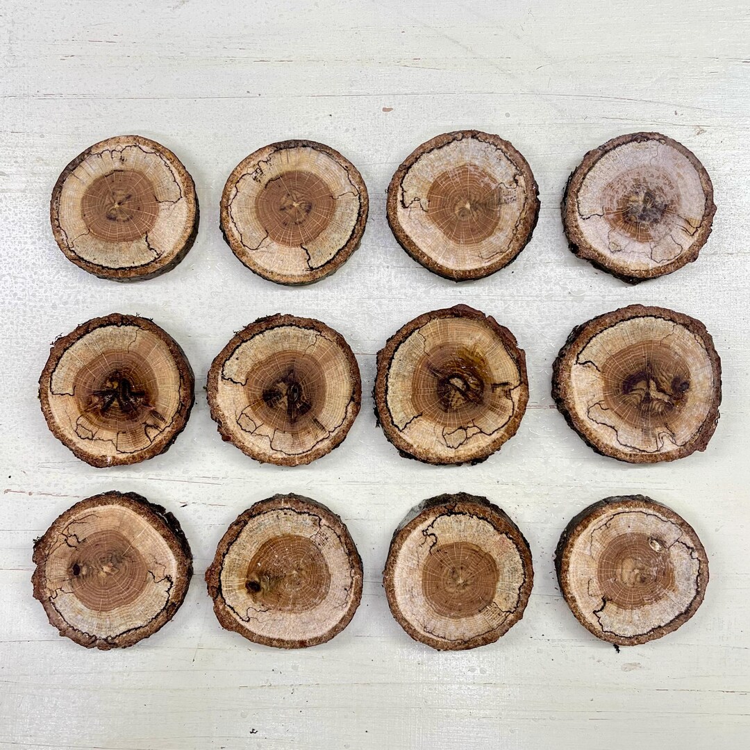 Wood Slices-spalted Birch Rounds for Jewelry Making, Epoxy Resin ...