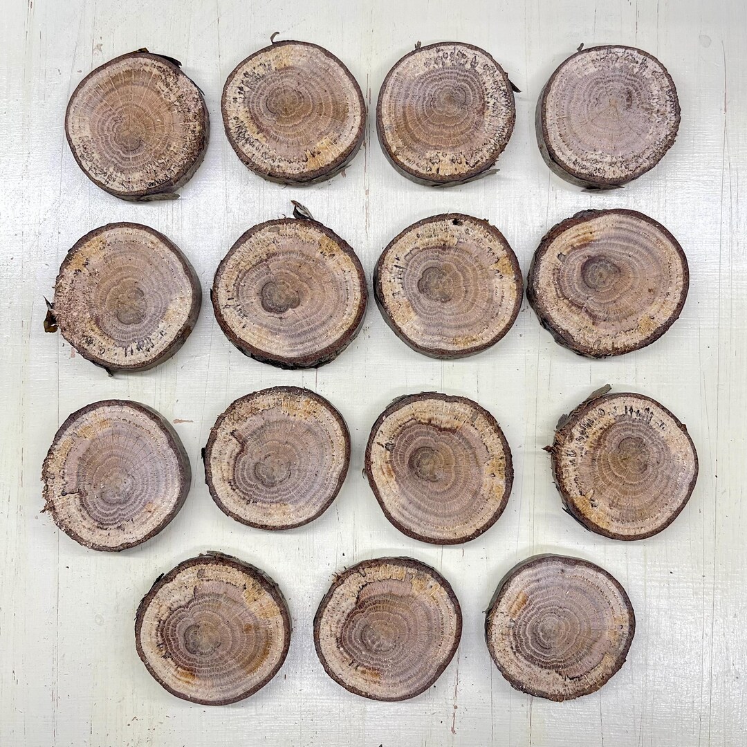 Wood Slices-spalted Birch Rounds for Jewelry Making, Epoxy Resin ...