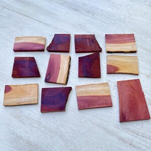 Surtido de madera de cedro rojo para estabilización, balanzas para cuchillos, fabricación de joyas y manualidades. Libro de maderas artesanales combinadas.