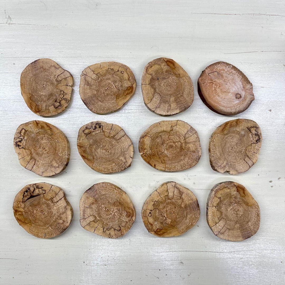 Wood Slices-spalted Birch Rounds for Wall Art, Epoxy Resin Projects ...