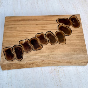 Può includere: Un tagliere rettangolare in legno con una finitura a venatura del legno naturale. Il tagliere presenta un motivo decorativo di anelli di legno marrone scuro intarsiati lungo un bordo.