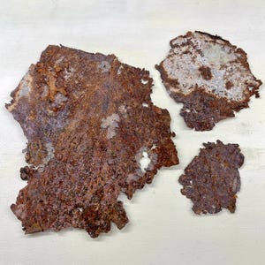 May include: Three irregularly shaped pieces of rusted metal with a textured surface. The metal has a mix of brown, orange, and gray tones, with areas of pitting and corrosion. The pieces are arranged on a white surface.